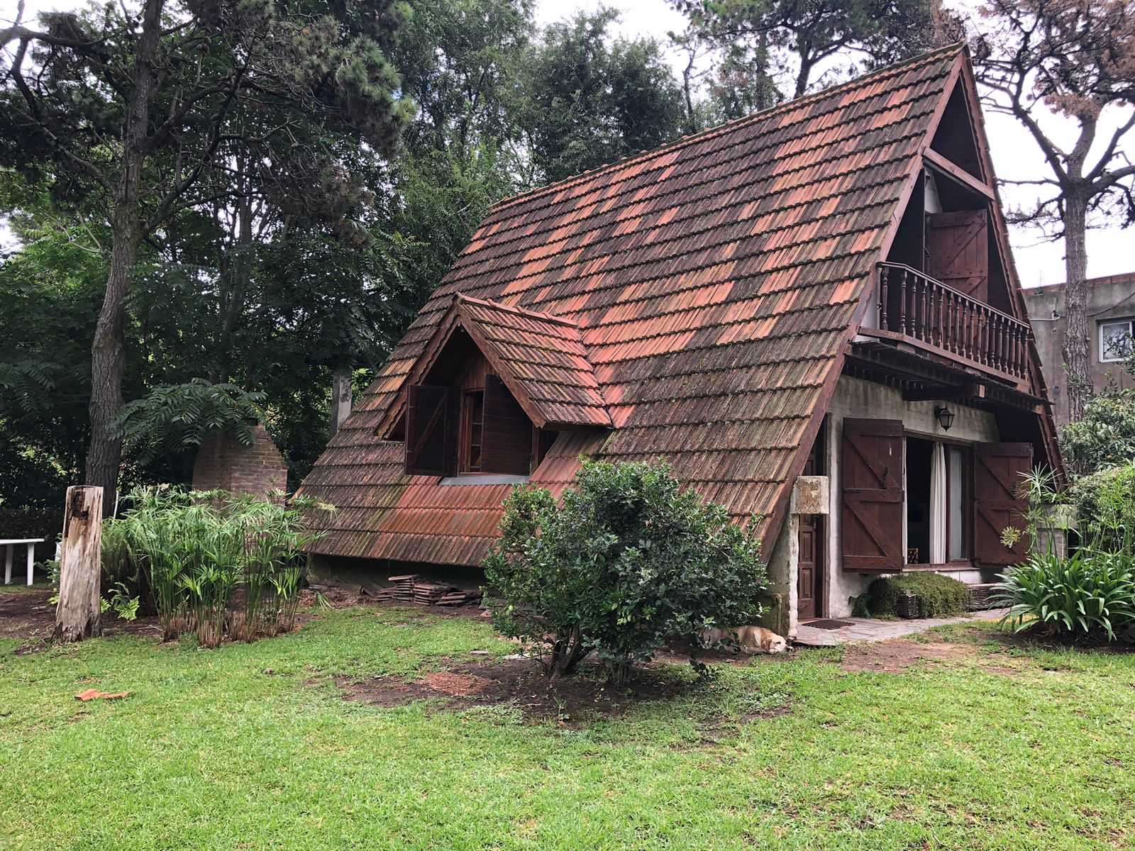 WhatsApp Image 2025-07-22 at 18.15.27 2.jpeg